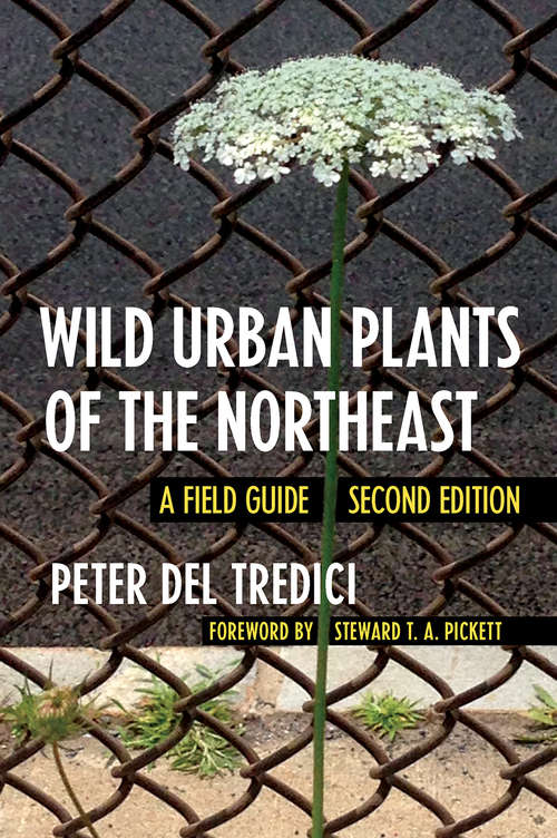 Book cover of Wild Urban Plants of the Northeast: A Field Guide (Second Edition)