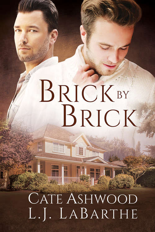 Book cover of Brick by Brick