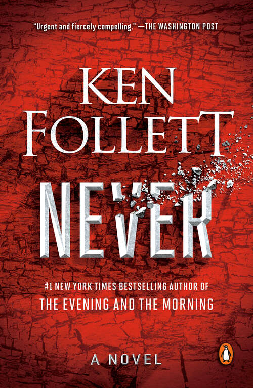 Book cover of Never: A Novel