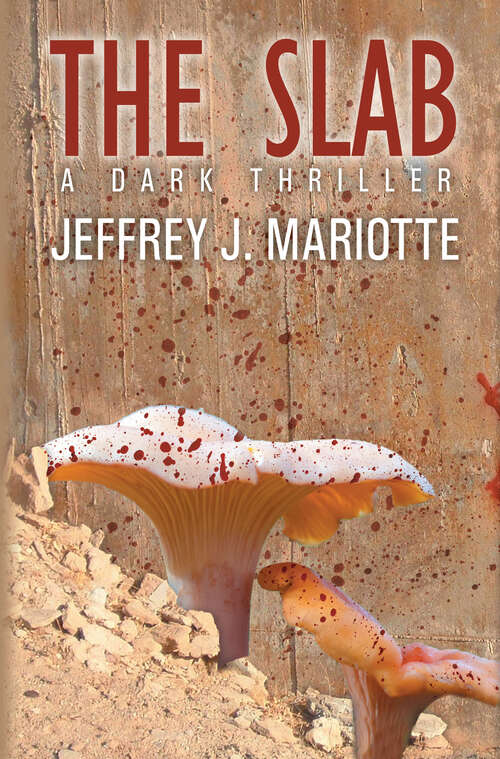 Book cover of The Slab