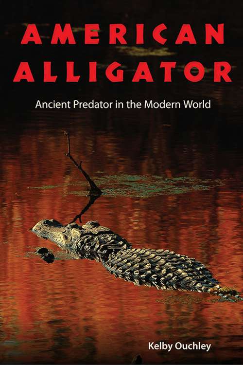Book cover of American Alligator: Ancient Predator in the Modern World