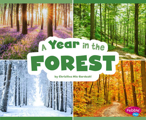 Book cover of A Year in the Forest (Season to Season)