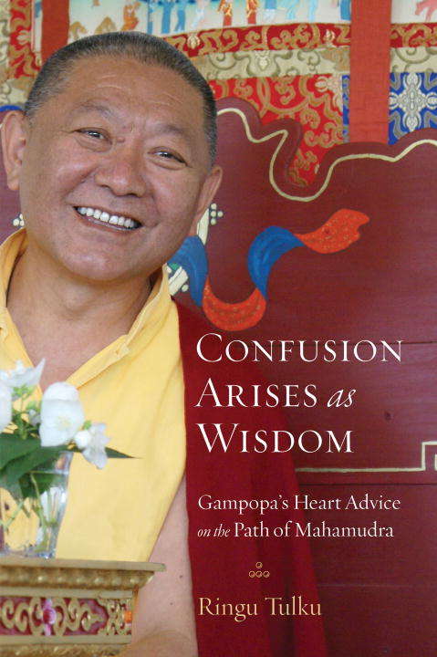 Book cover of Confusion Arises as Wisdom: Gampopa's Heart Advice on the Path of Mahamudra