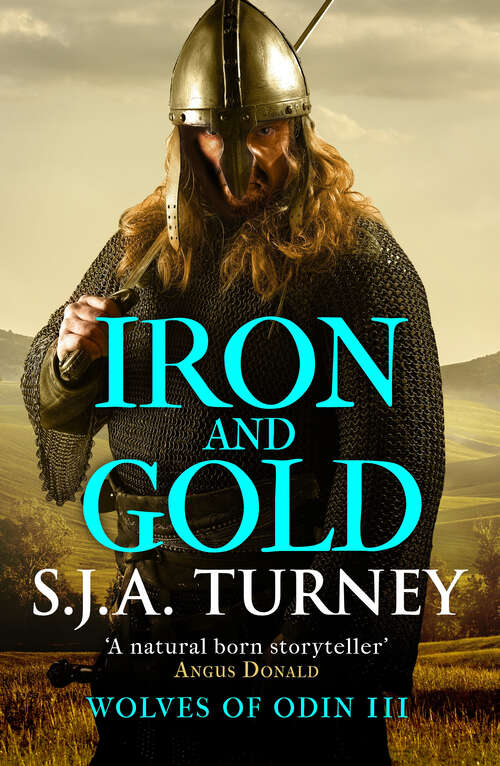 Book cover of Iron and Gold (Wolves of Odin)