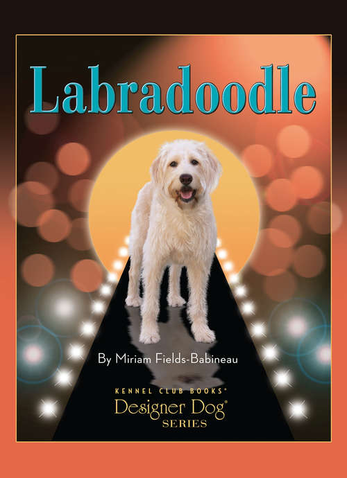Book cover of Labradoodle