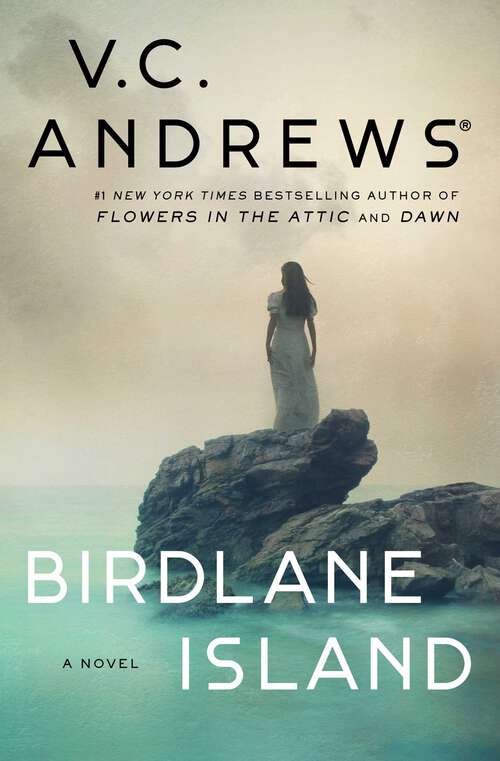 Book cover of Birdlane Island: A Novel