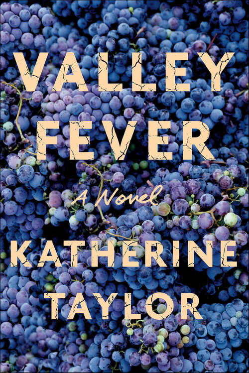 Book cover of Valley Fever: A Novel