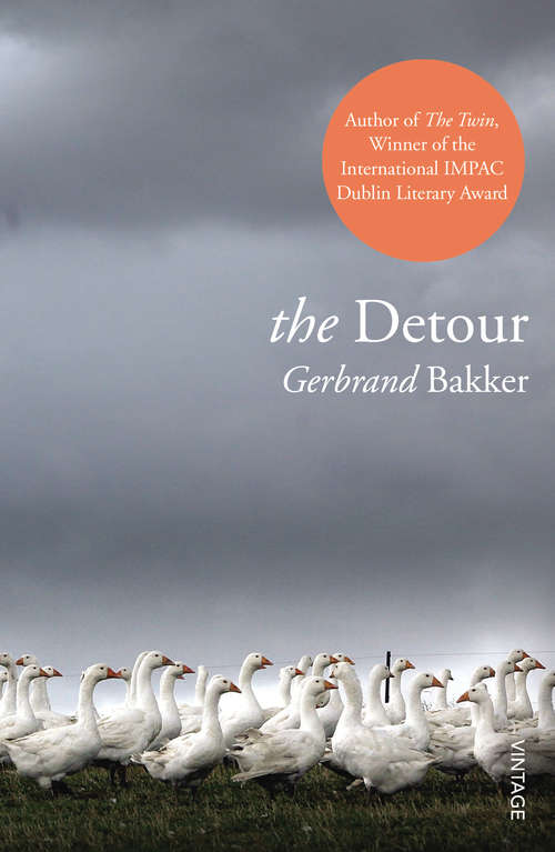 Book cover of The Detour