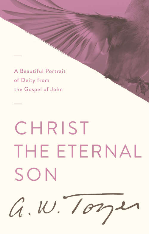 Book cover of Christ the Eternal Son: A Beautiful Portrait of Deity from the Gospel of John (New Edition)