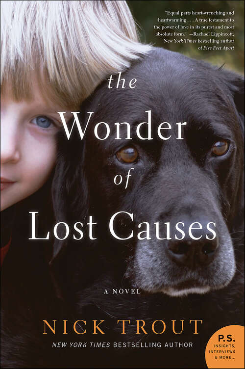 Book cover of The Wonder of Lost Causes: A Novel