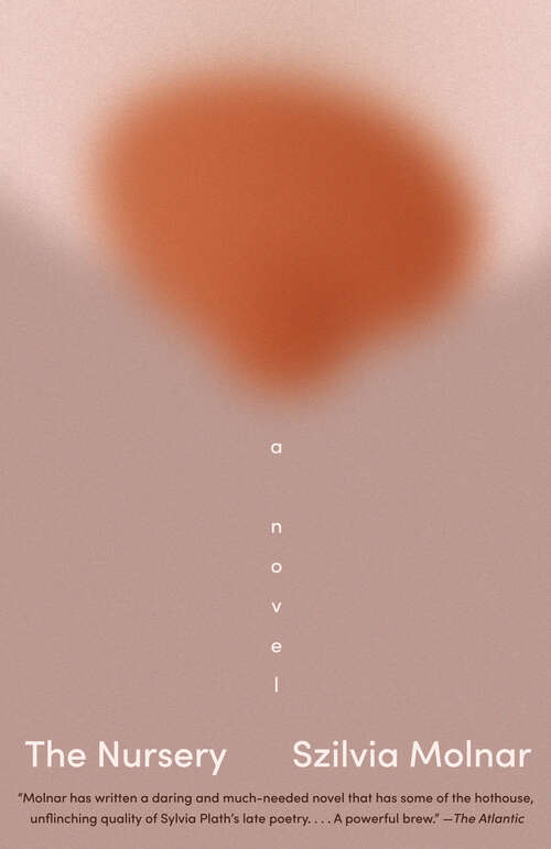 Book cover of The Nursery: A Novel