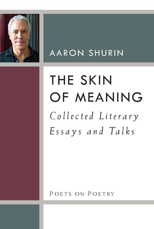Book cover of The Skin of Meaning: Collected Literary Essays and Talks