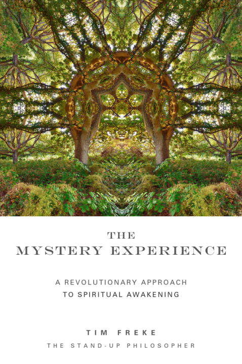 Book cover of The Mystery Experience