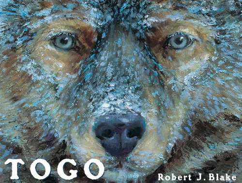 Book cover of Togo