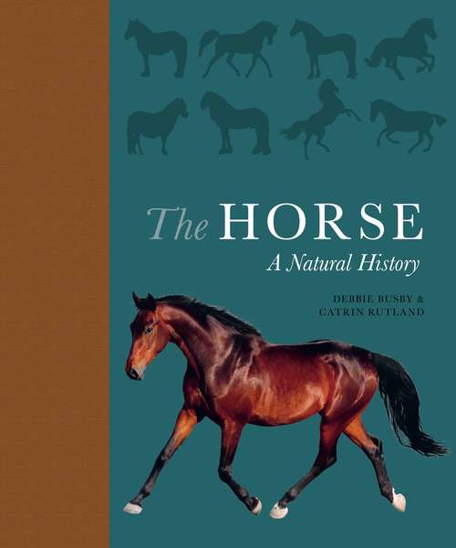 The Horse: A Natural History