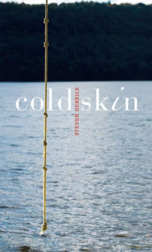 Book cover of Cold Skin