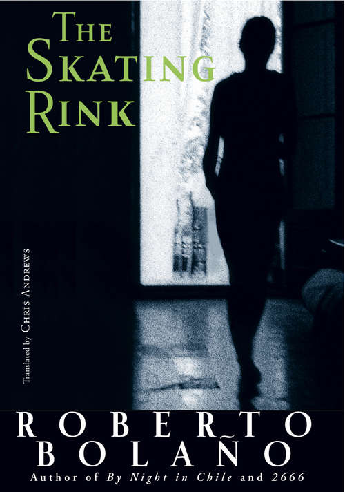 Book cover of The Skating Rink