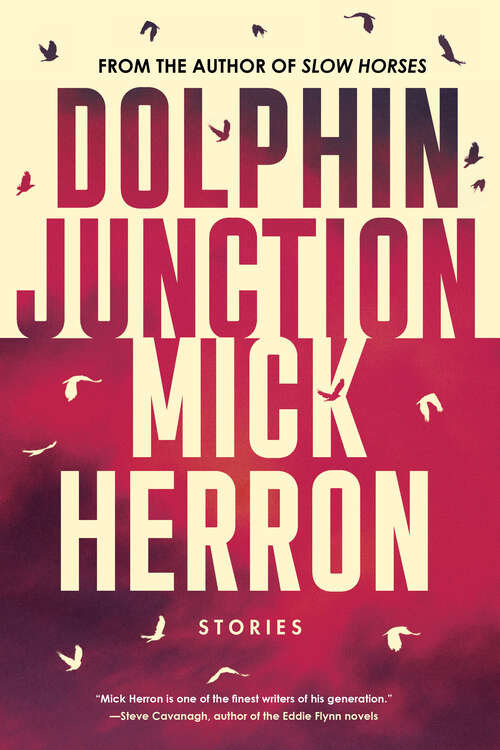 Book cover of Dolphin Junction: Stories