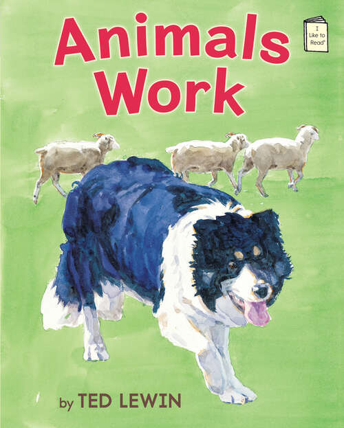 Book cover of Animals Work (I Like to Read)