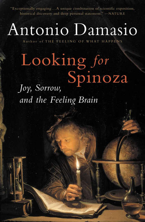 Book cover of Looking for Spinoza