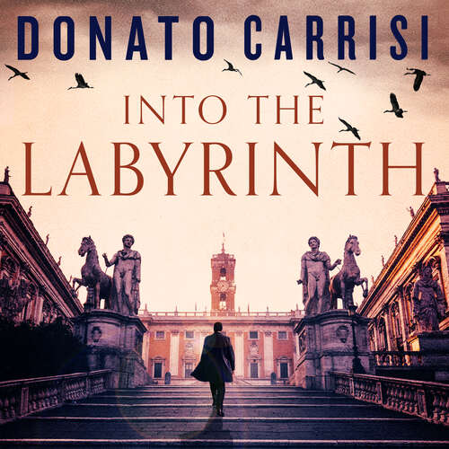 Book cover of Into the Labyrinth