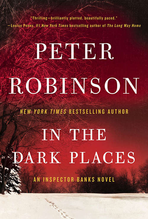Book cover of In the Dark Places
