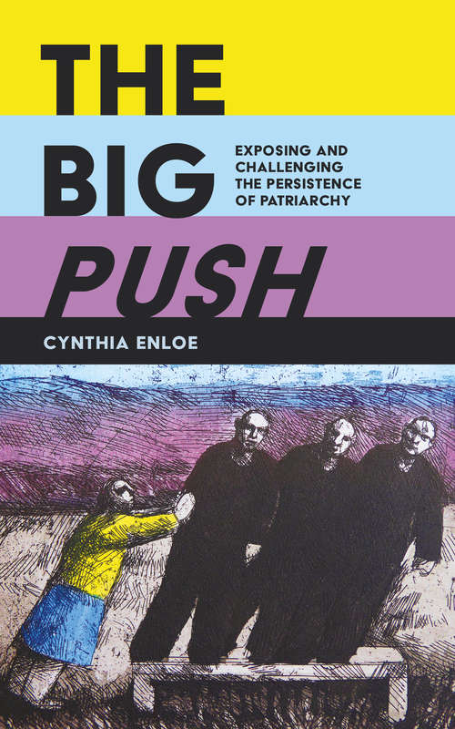 Book cover of The Big Push: Exposing and Challenging the Persistence of Patriarchy