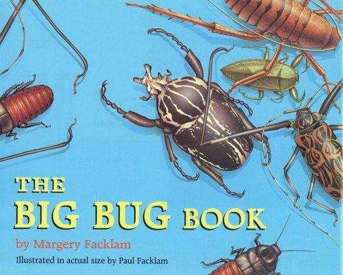 Book cover of The Big Bug Book