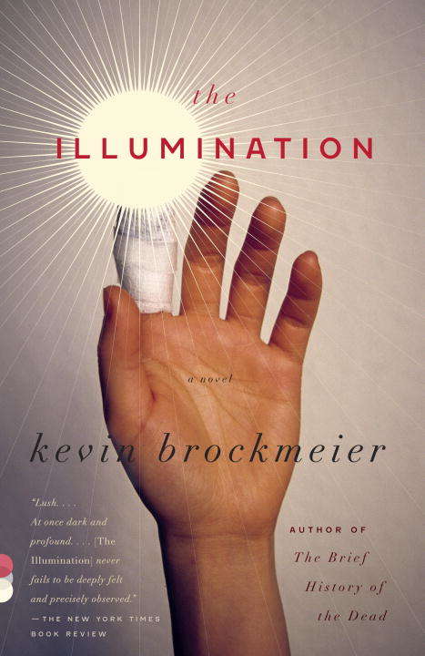Book cover of The Illumination: A Novel