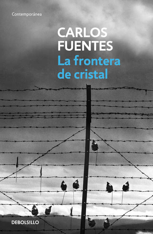 Book cover of La frontera de cristal