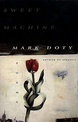 Book cover of Sweet Machine