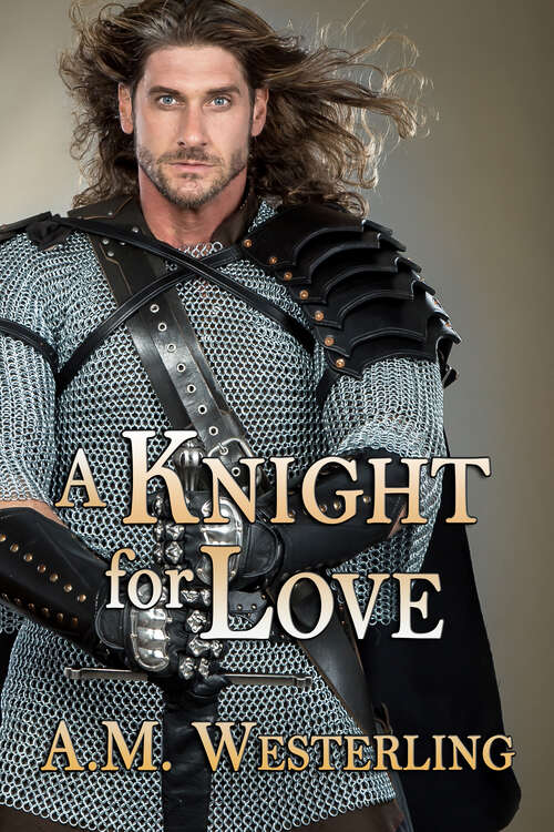 Book cover of A Knight For Love (2nd Edition)
