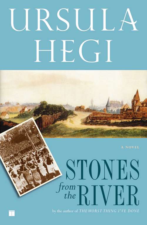 Book cover of Stones from the River