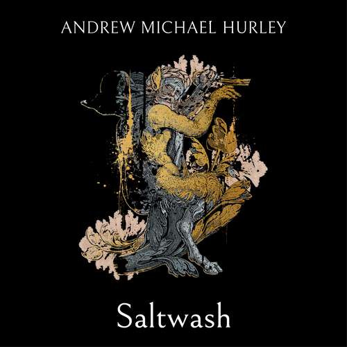 Book cover of Saltwash: The chilling new novel from the 'master of menace'
