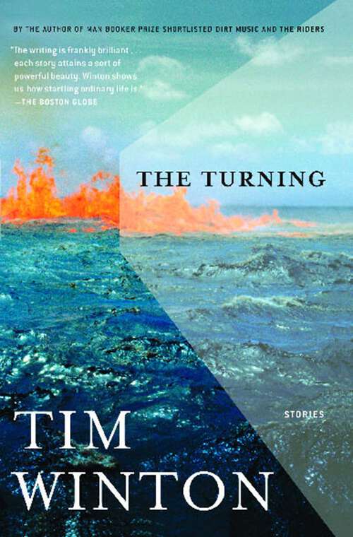 Book cover of The Turning: Stories