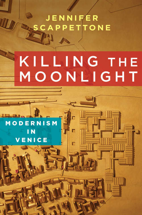 Book cover of Killing the Moonlight