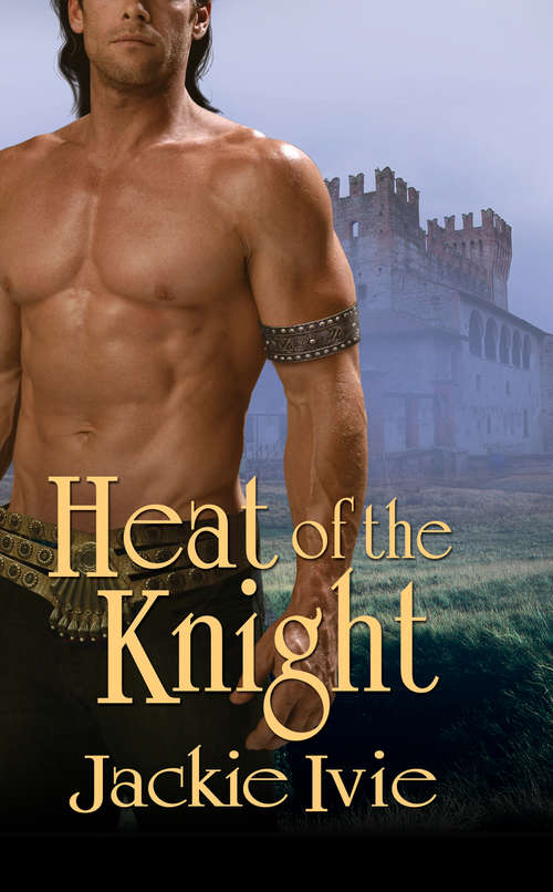 Book cover of Heat of the Knight