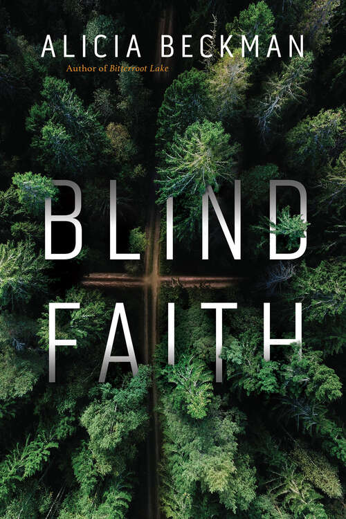 Book cover of Blind Faith: A Novel