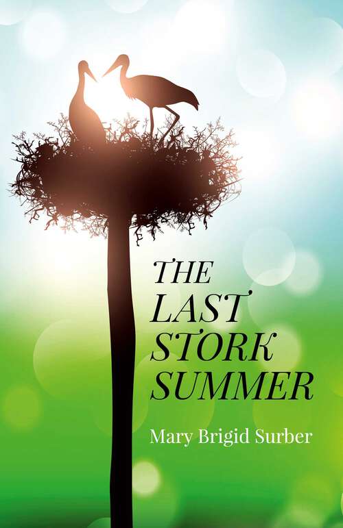 Book cover of The Last Stork Summer