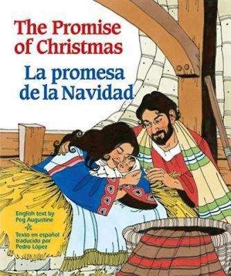 Book cover of The Promise of Christmas