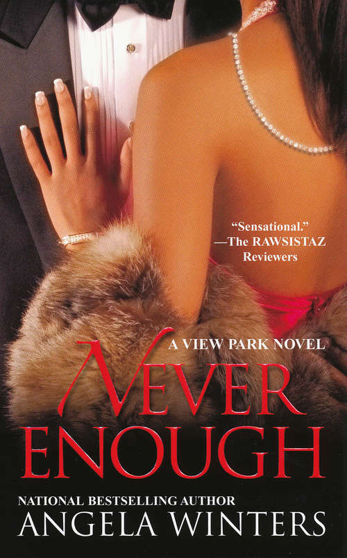 Book cover of Never Enough (A View Park Novel #2)