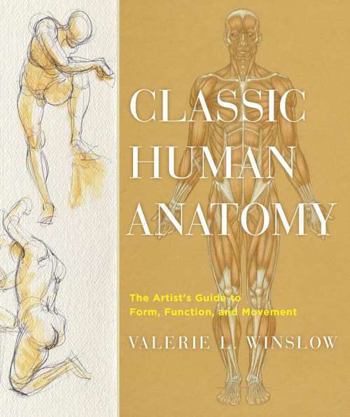 Book cover of Classic Human Anatomy: The Artist's Guide to Form, Function, and Movement