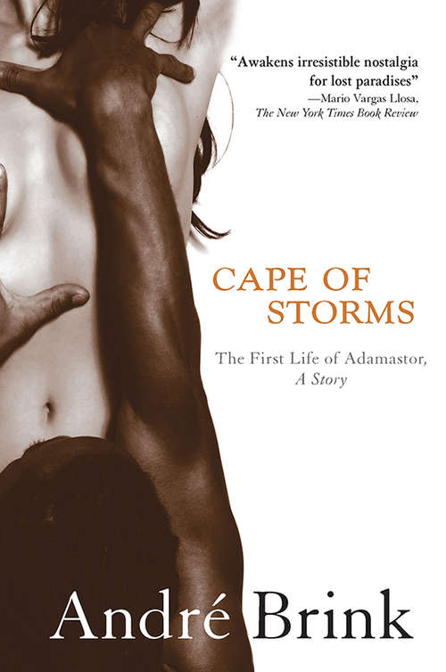Book cover of Cape of Storms