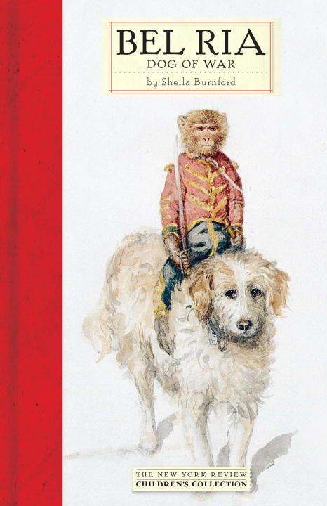 Book cover of Bel Ria: Dog of War