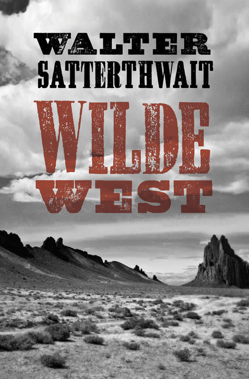 Book cover of Wilde West
