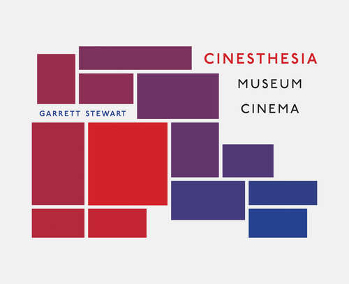 Book cover of Cinesthesia: Museum Cinema and the Curated Screen (Kino-agora Ser.)