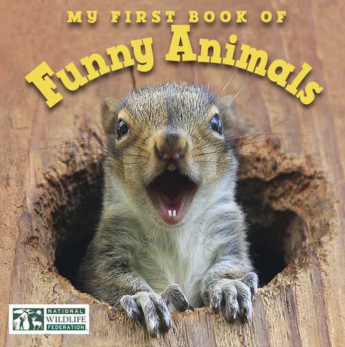 Book cover of My First Book of Funny Animals (National Wildlife Federation)