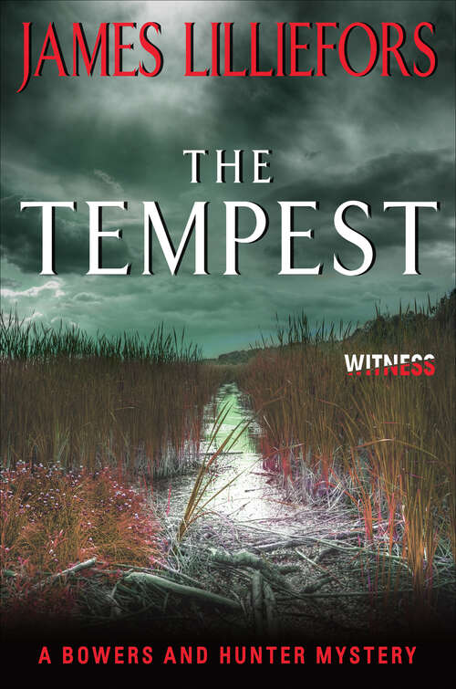 Book cover of The Tempest: A Bowers And Hunter Mystery (Bowers and Hunter Mysteries #2)