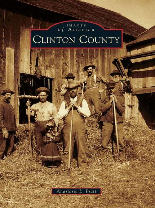 Book cover of Clinton County