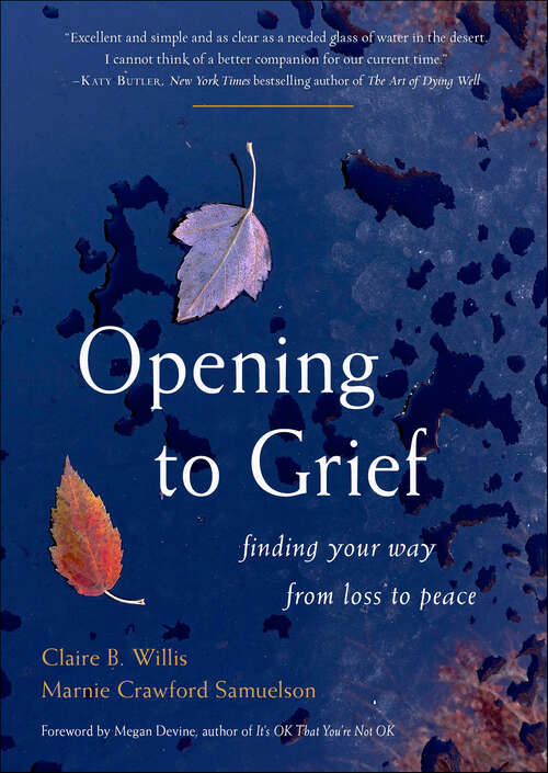 Book cover of Opening to Grief: Finding Your Way from Loss to Peace